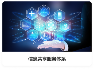 关务软件_关务系统_关务进出口管理软件-神州博海