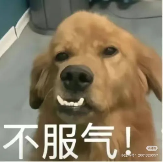 文章附圖