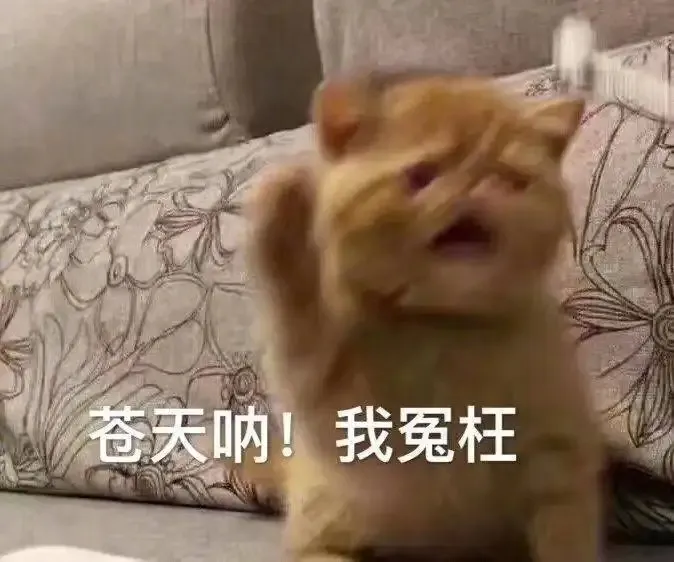文章附圖
